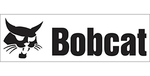Bobcat